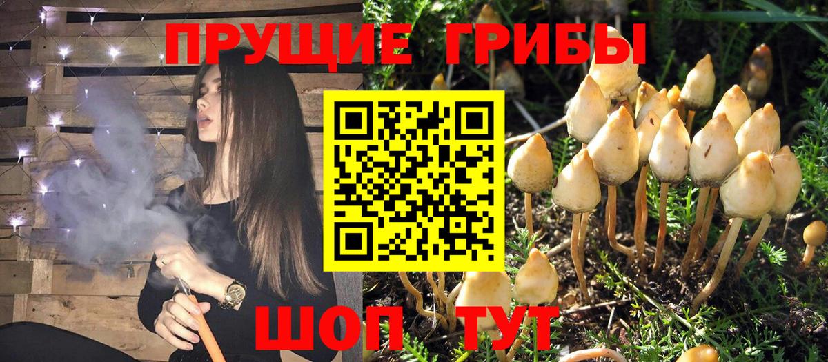 Галлюциногенные грибы Magic Shrooms Надым