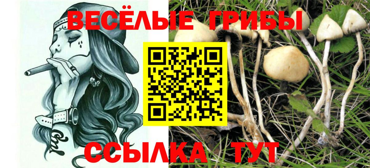 Галлюциногенные грибы мухоморы  Вход с VPN  Галлюциногенные грибы GOLDEN TEACHER  Надым 